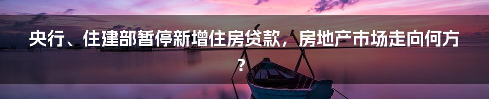 央行、住建部暂停新增住房贷款，房地产市场走向何方？