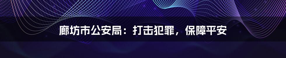 廊坊市公安局：打击犯罪，保障平安