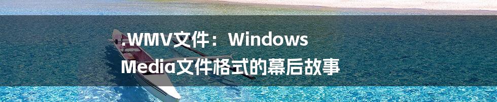 .WMV文件：Windows Media文件格式的幕后故事