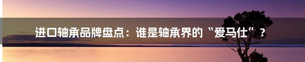 进口轴承品牌盘点：谁是轴承界的“爱马仕”？