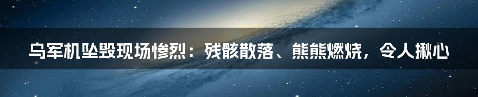 乌军机坠毁现场惨烈：残骸散落、熊熊燃烧，令人揪心