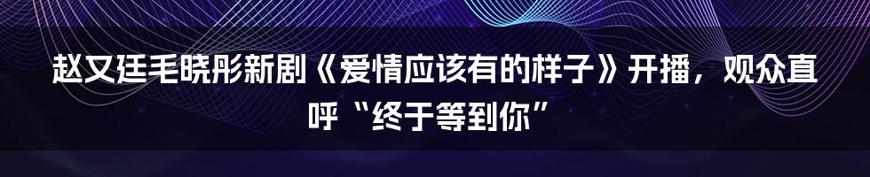 赵又廷毛晓彤新剧《爱情应该有的样子》开播，观众直呼“终于等到你”