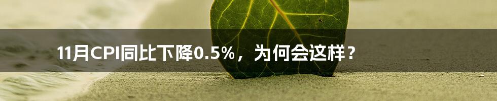 11月CPI同比下降0.5%，为何会这样？