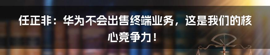 任正非：华为不会出售终端业务，这是我们的核心竞争力！