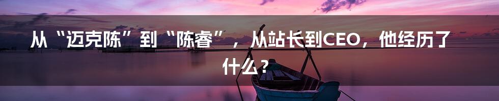 从“迈克陈”到“陈睿”，从站长到CEO，他经历了什么？