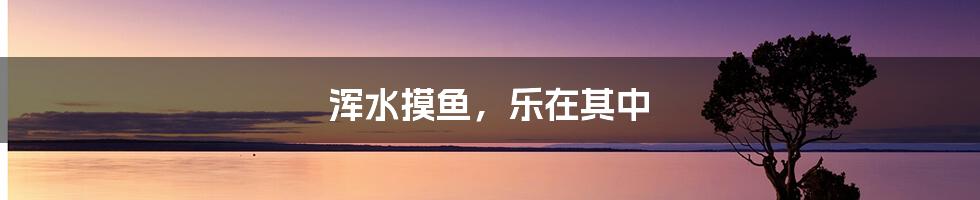 浑水摸鱼，乐在其中