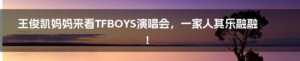 王俊凯妈妈来看TFBOYS演唱会，一家人其乐融融！