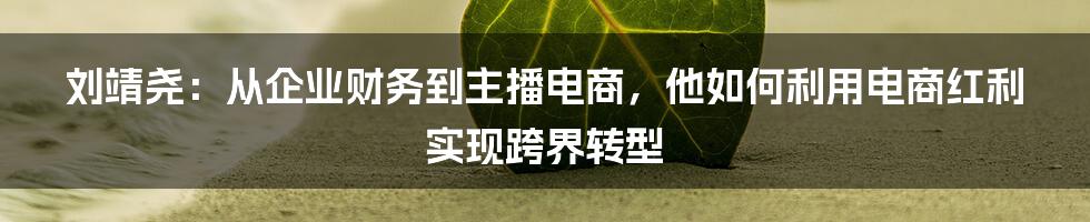 刘靖尧：从企业财务到主播电商，他如何利用电商红利实现跨界转型