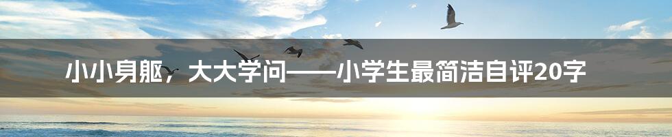 小小身躯，大大学问——小学生最简洁自评20字