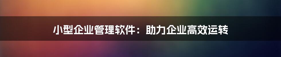 小型企业管理软件：助力企业高效运转