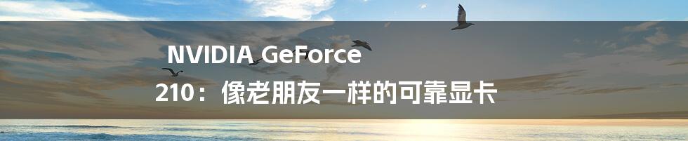 NVIDIA GeForce 210：像老朋友一样的可靠显卡