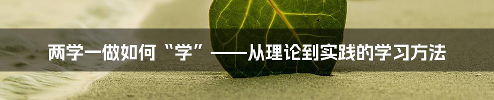 两学一做如何“学”——从理论到实践的学习方法