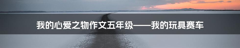 我的心爱之物作文五年级——我的玩具赛车