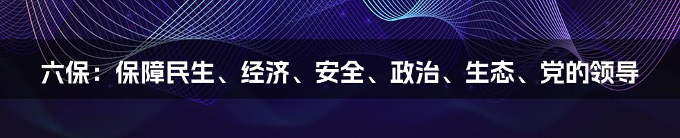 六保：保障民生、经济、安全、政治、生态、党的领导