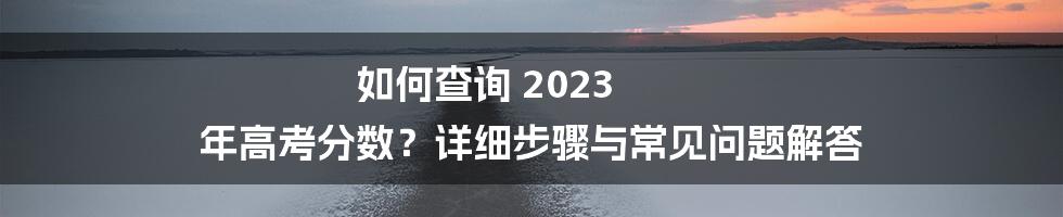 如何查询 2023 年高考分数？详细步骤与常见问题解答