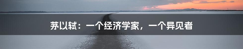 茅以轼：一个经济学家，一个异见者