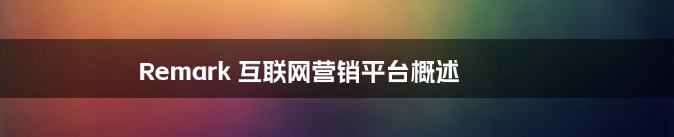 Remark 互联网营销平台概述