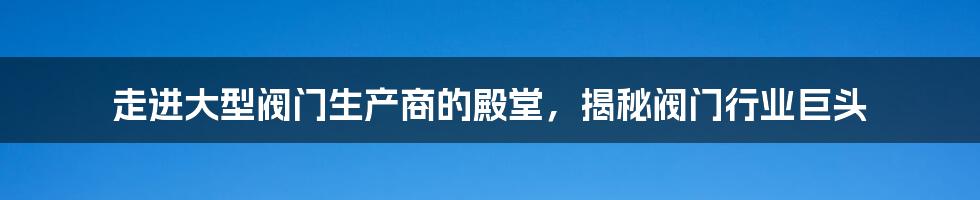 走进大型阀门生产商的殿堂，揭秘阀门行业巨头