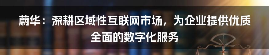 蔚华：深耕区域性互联网市场，为企业提供优质全面的数字化服务