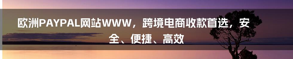 欧洲PAYPAL网站WWW，跨境电商收款首选，安全、便捷、高效