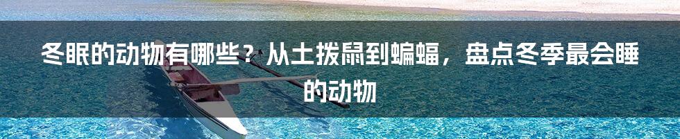 冬眠的动物有哪些？从土拨鼠到蝙蝠，盘点冬季最会睡的动物