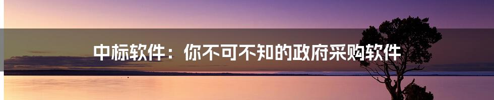 中标软件：你不可不知的政府采购软件