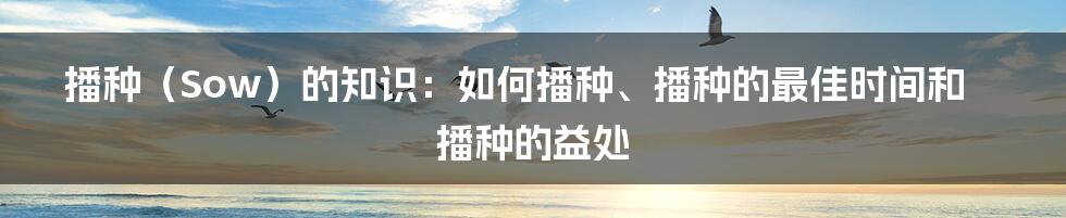 播种（Sow）的知识：如何播种、播种的最佳时间和播种的益处