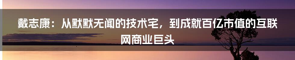 戴志康：从默默无闻的技术宅，到成就百亿市值的互联网商业巨头