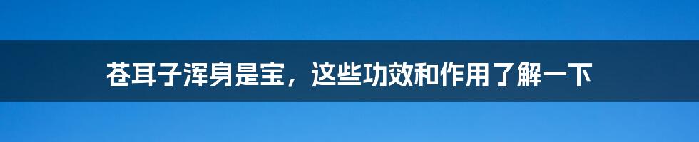 苍耳子浑身是宝，这些功效和作用了解一下