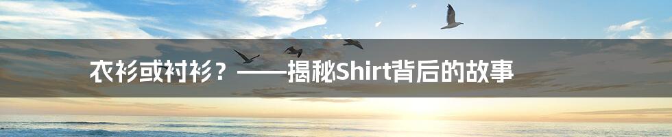 衣衫或衬衫？——揭秘Shirt背后的故事