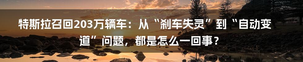 特斯拉召回203万辆车：从“刹车失灵”到“自动变道”问题，都是怎么一回事？