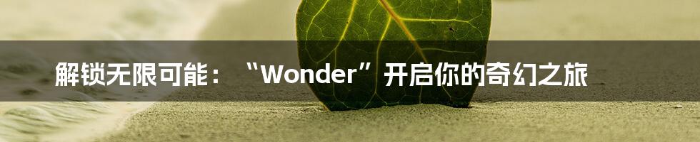 解锁无限可能：“Wonder”开启你的奇幻之旅