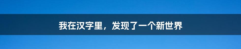 我在汉字里，发现了一个新世界