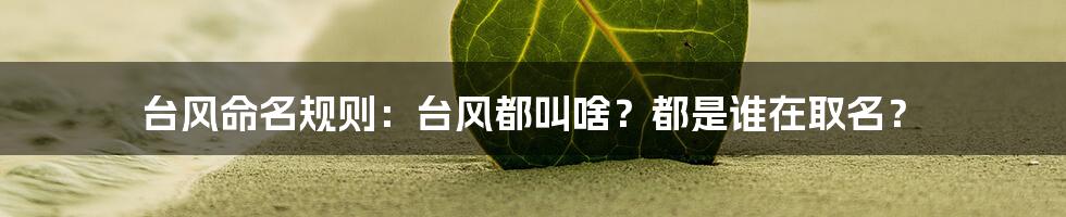 台风命名规则：台风都叫啥？都是谁在取名？