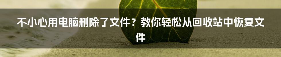 不小心用电脑删除了文件？教你轻松从回收站中恢复文件