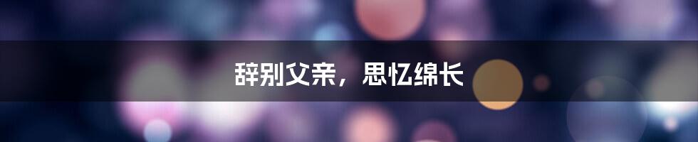 辞别父亲，思忆绵长