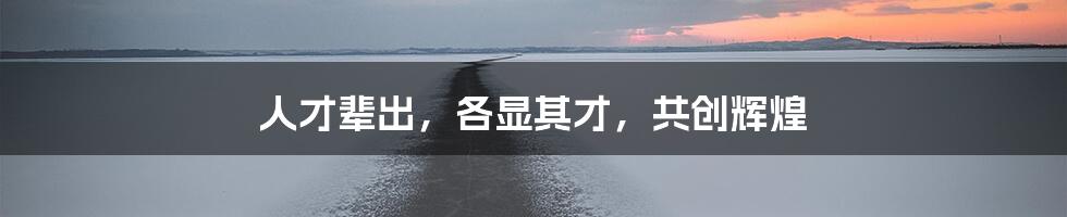 人才辈出，各显其才，共创辉煌