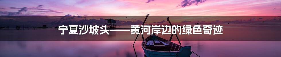 宁夏沙坡头——黄河岸边的绿色奇迹