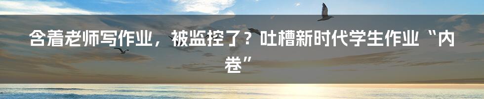 含着老师写作业，被监控了？吐槽新时代学生作业“内卷”