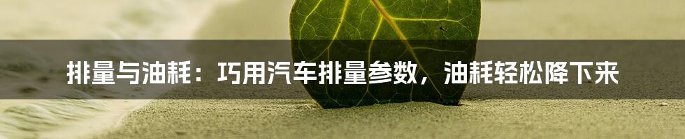 排量与油耗：巧用汽车排量参数，油耗轻松降下来