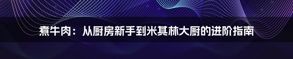 煮牛肉：从厨房新手到米其林大厨的进阶指南