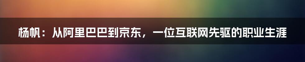 杨帆：从阿里巴巴到京东，一位互联网先驱的职业生涯