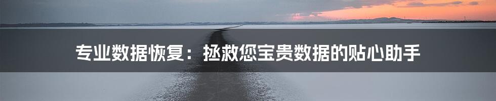 专业数据恢复：拯救您宝贵数据的贴心助手