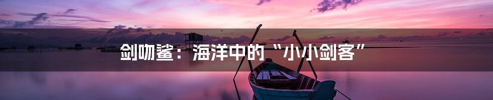 剑吻鲨：海洋中的“小小剑客”