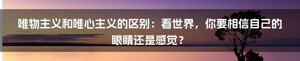 唯物主义和唯心主义的区别：看世界，你要相信自己的眼睛还是感觉？