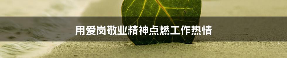 用爱岗敬业精神点燃工作热情