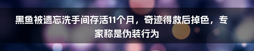 黑鱼被遗忘洗手间存活11个月，奇迹得救后掉色，专家称是伪装行为