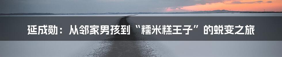 延成勋：从邻家男孩到“糯米糕王子”的蜕变之旅