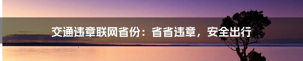 交通违章联网省份：省省违章，安全出行