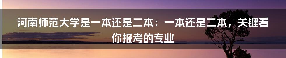 河南师范大学是一本还是二本：一本还是二本，关键看你报考的专业